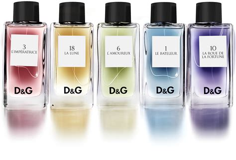 d & g perfume|d meaning in hebrew.